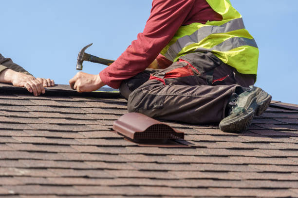 Best Roof Gutter Cleaning  in Hden Springs, ID