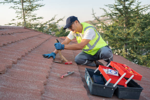 Best Roof Maintenance Services  in Hden Springs, ID